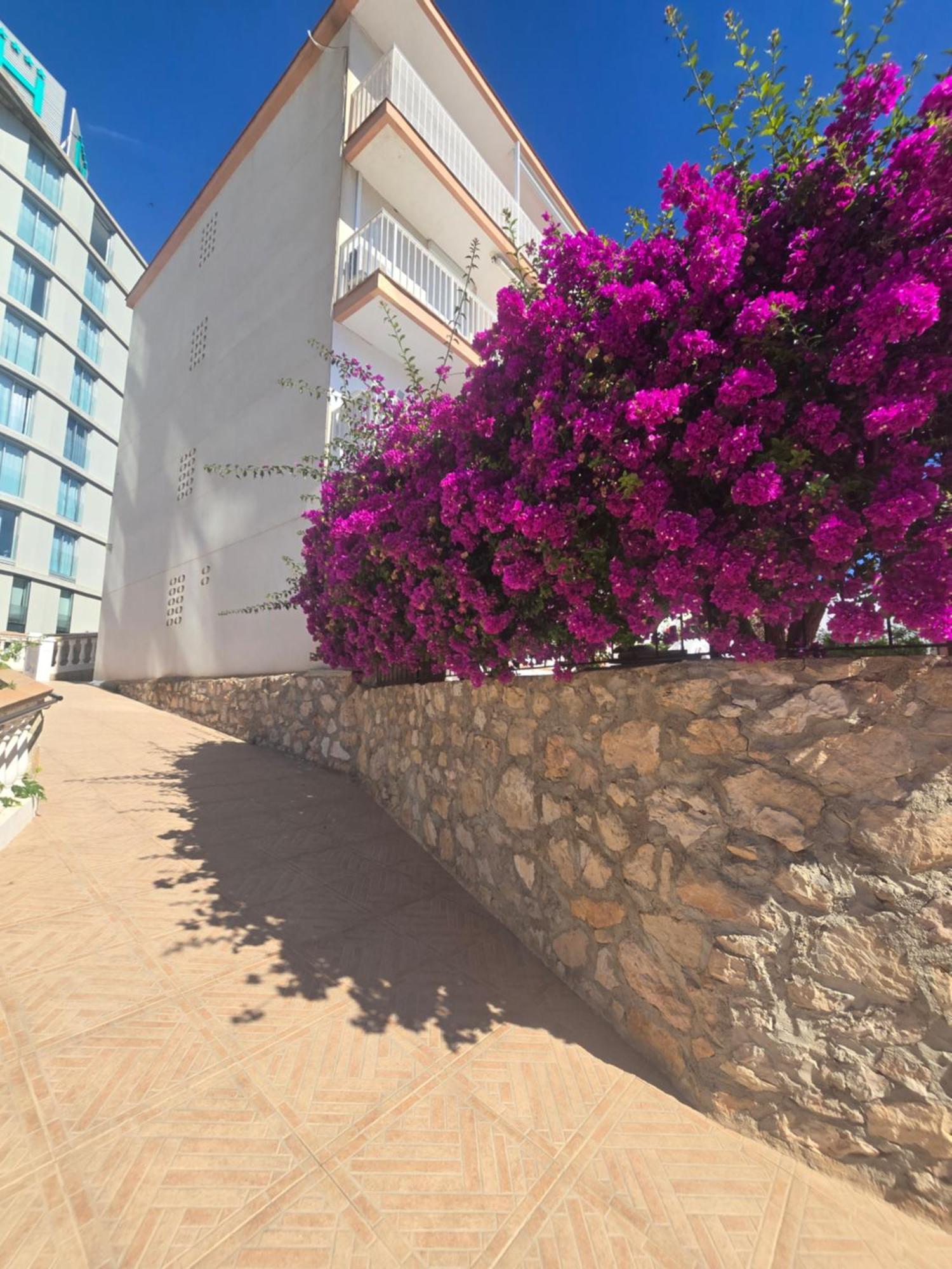 La Cantera Appartement Playa Peñíscola 외부 사진